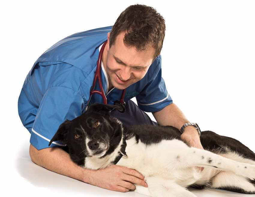 Specialist services in Belper